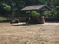 Zoo Cottbus 146